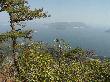 DSC03729.JPG