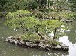 DSC03789.JPG