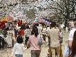 DSC04030.JPG