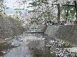 DSC04042.JPG