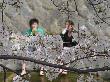 DSC04048.JPG