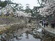 DSC04050.JPG